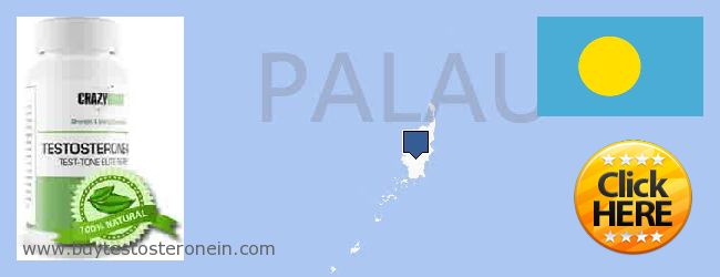 Πού να αγοράσετε Testosterone σε απευθείας σύνδεση Palau